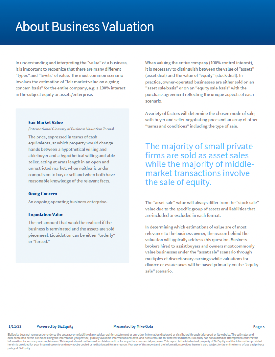 Screenshot of a sample BizEquity report.