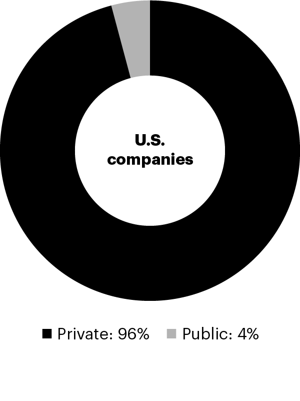 Composition of U.S. companies: Private 96% and Public 4%